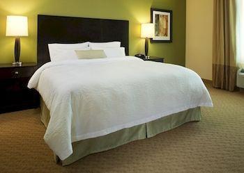 Hampton Hotel Hibbing